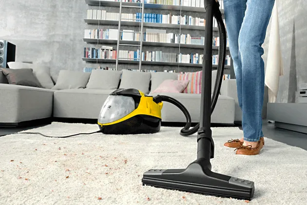 Ремонт пылесосов Karcher