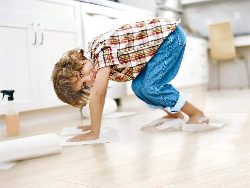 Вопросы о пароочистителях