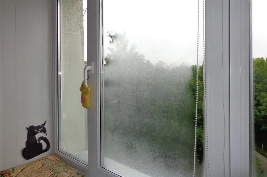 Отзыв Karcher WV 5 Premium White