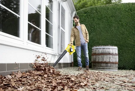 Аккумуляторная воздуходувка Karcher LBL 4 Battery Set *EU