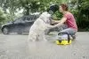 Полотенце для собак Karcher