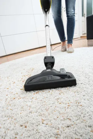 Ручной пылесос Karcher VC 5 Premium White