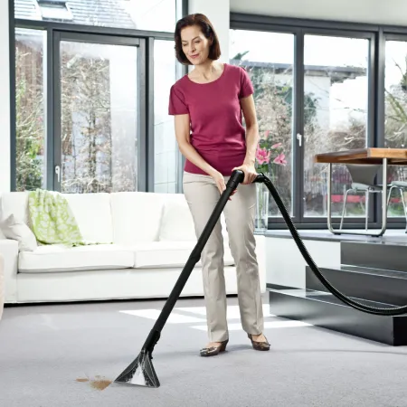 Пылесос моющий Karcher SE 6.100