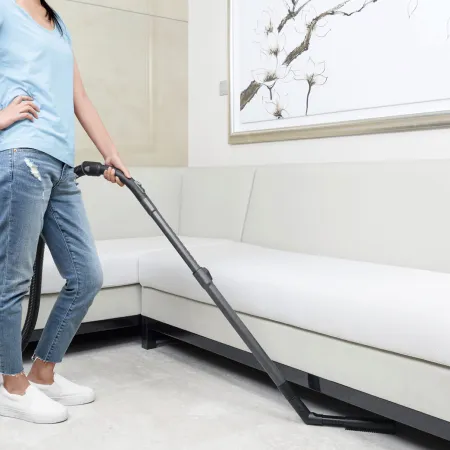 Пылесос сухой уборки Karcher VC 3 Premium