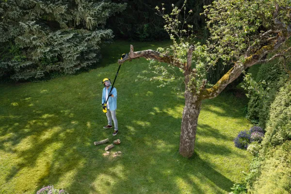 Аккумуляторный высоторез Karcher PSW 18-20 Battery