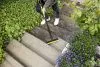 Приспособление для очистки поверхностей Karcher PS 30