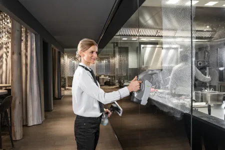 Профессиональный стеклоочиститель Karcher WVP 10 Adv *EU