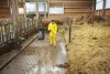 Аппарат высокого давления Karcher HD 10/25-4 S