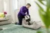 Аккумуляторный вертикальный пылесос Karcher VC 7 Cordless yourMax Pet