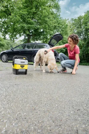 Щетка для шерсти Karcher