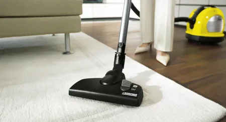 Пылесос сухой уборки Karcher VC 6 Premium