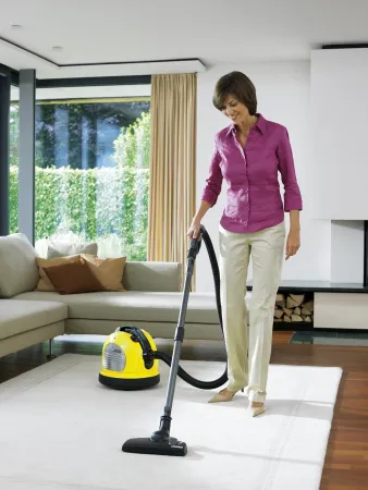 Пылесос сухой уборки Karcher VC 6 Premium