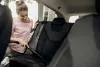 Хозяйственный пылесос Karcher WD 3 P V-17/4/20