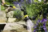 Распылитель с удлиняющей трубкой Premium Karcher