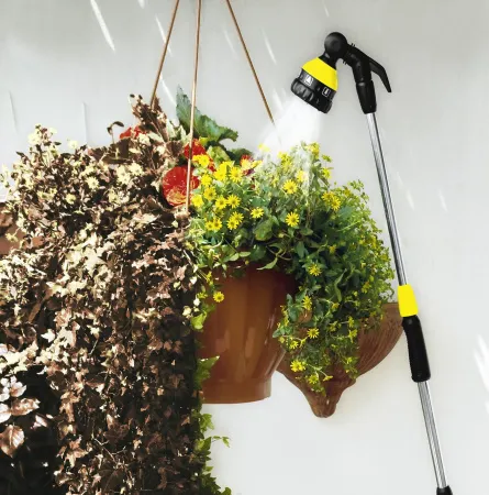 Распылитель с удлиняющей трубкой Premium Karcher