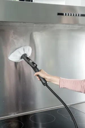 Пароочиститель Karcher SC 4 EasyFix Premium Iron (white)