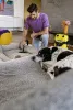 Насадка для уборки Karcher