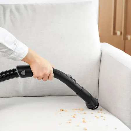 Пылесос сухой уборки Karcher VC 3 Premium