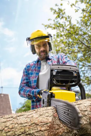 Аккумуляторная пила Karcher CNS 18-30 Battery