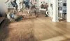 Ручной пылесос Karcher VC 5 Premium White