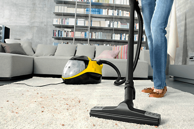 Ремонт пылесосов Karcher