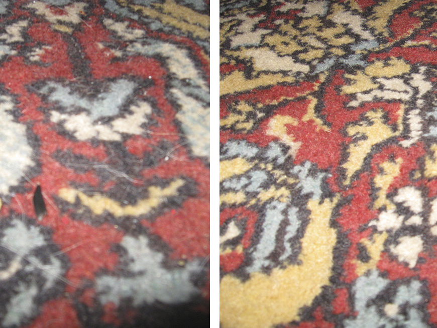 Отзыв на пылесос с аквафильтром Karcher DS 6000 Mediclean