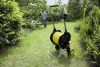 Тележка для шланга Karcher НТ 4.520 (в комплекте, 5/8") Тележка для шланга Karcher НТ 4.520 (в комплекте, 5/8")