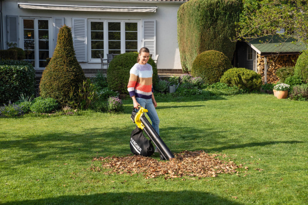 Аккумуляторный садовый пылесос (воздуходув) Karcher BLV 18-200 Battery Аккумуляторный садовый пылесос (воздуходув) Karcher BLV 18-200 Battery