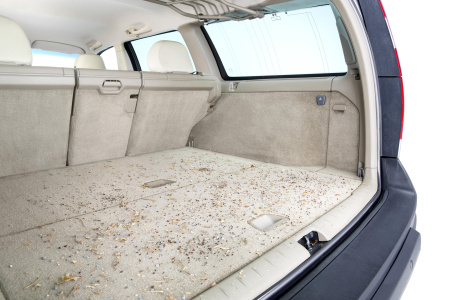 Хозяйственный пылесос Karcher WD 3 V-17/4/20 (MV 3)