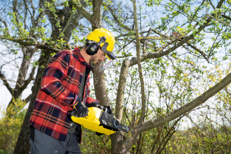 Аккумуляторная пила Karcher CNS 36-35 Battery Аккумуляторная пила Karcher CNS 36-35 Battery