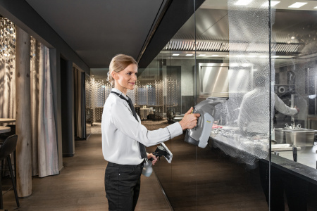 Профессиональный стеклоочиститель Karcher WVP 10 Adv *EU