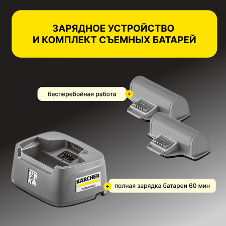 Профессиональный стеклоочиститель Karcher WVP 10 Adv *EU
