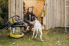 Хозяйственный пылесос Karcher WD 6 P S V-30/6/22/T Хозяйственный пылесос Karcher WD 6 P S V-30/6/22/T