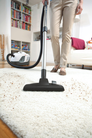 Пылесос с аквафильтром Karcher DS 6 Premium Plus