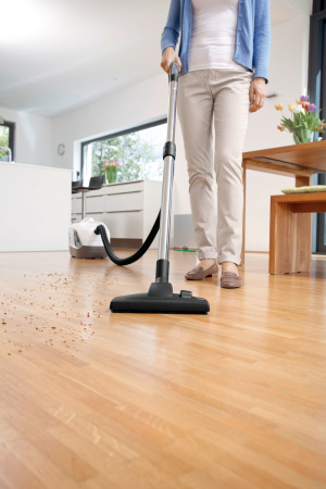 Пылесос с аквафильтром Karcher DS 6 Premium Plus