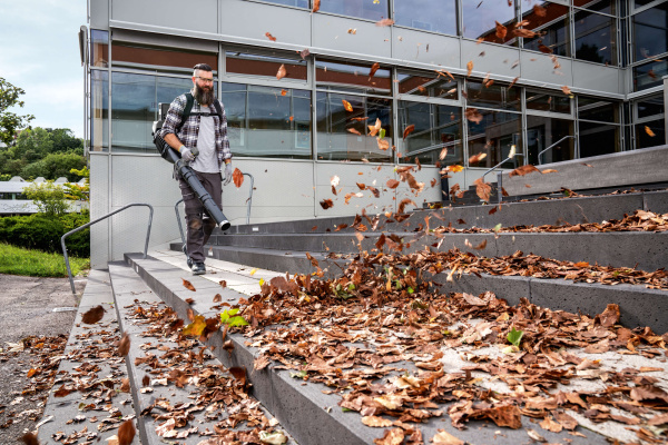 Аккумуляторная ранцевая воздуходувка Karcher LBB 1060/36 Bp Аккумуляторная ранцевая воздуходувка Karcher LBB 1060/36 Bp