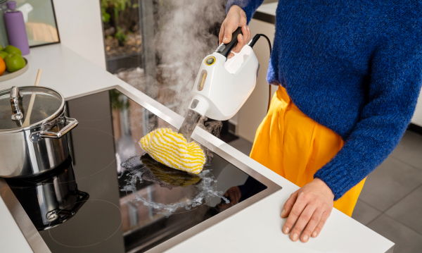 Пароочиститель Karcher SC 1 Multi