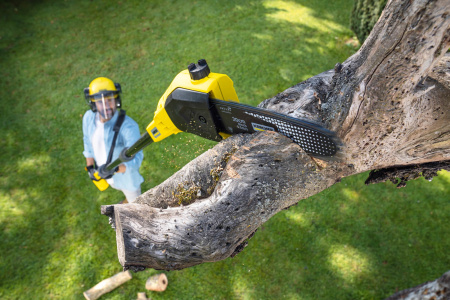 Аккумуляторный высоторез Karcher PSW 18-20 Battery